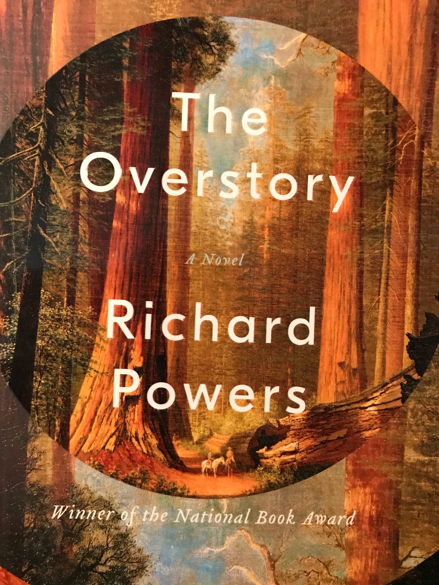 new york times book review the overstory